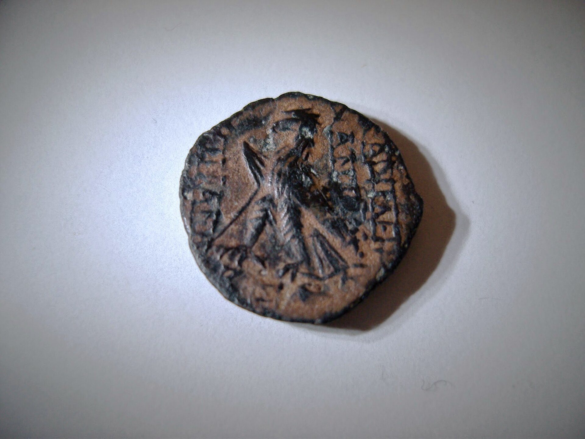 SNV81582.jpg