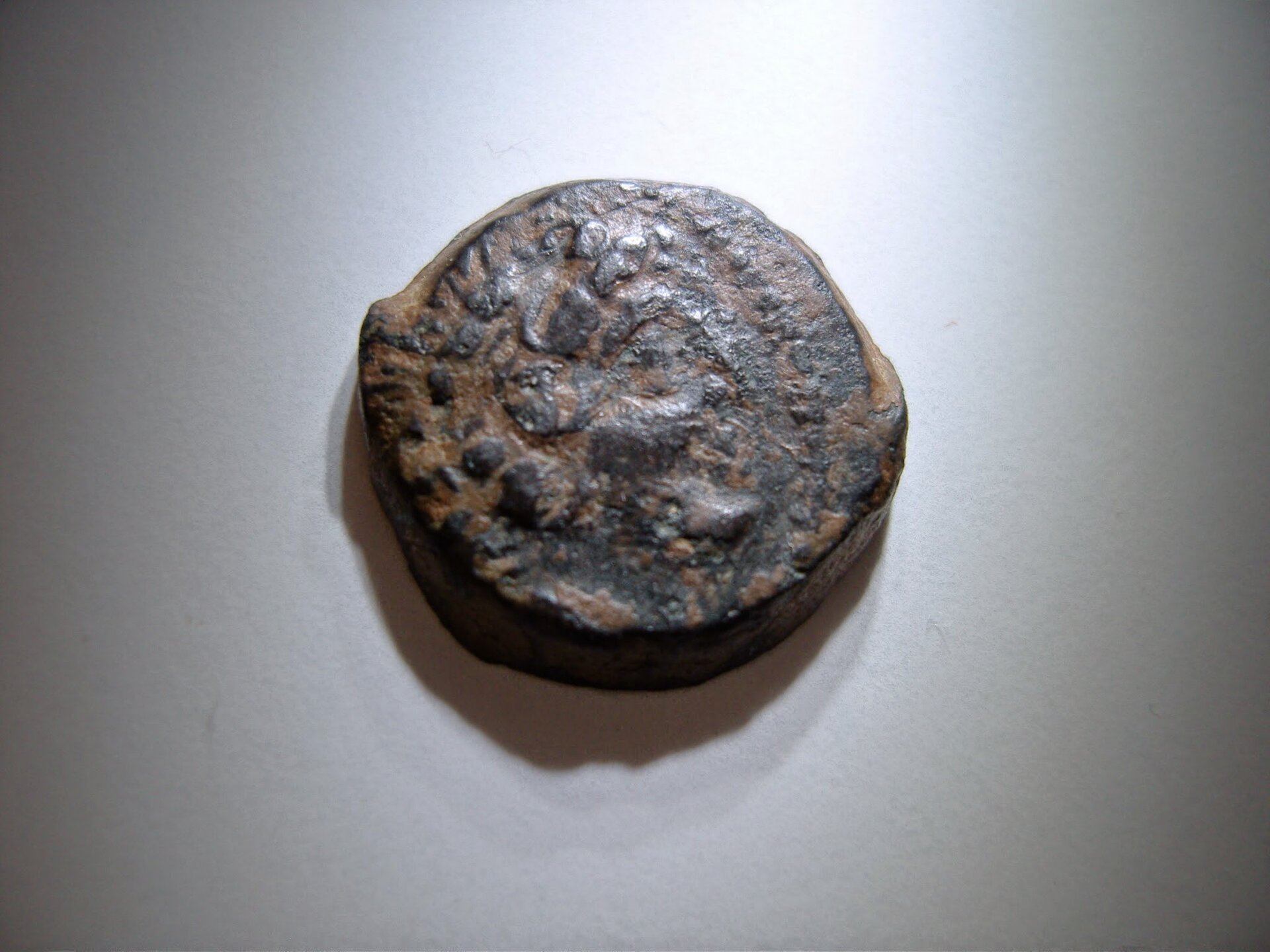 SNV81583.jpg