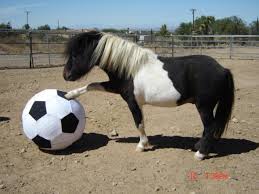 soccer horse.jpg