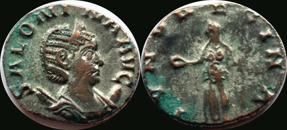 Solonina.jpg