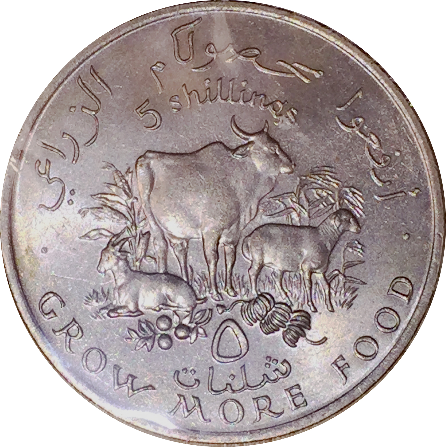 Som197003.jpg