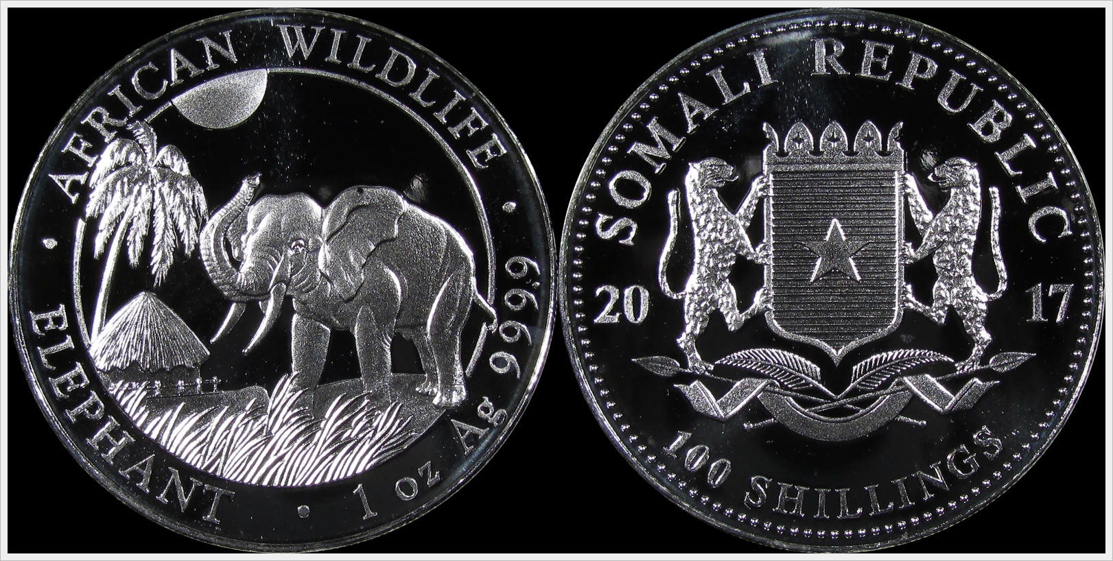 Somali 2017 Elephant.jpg