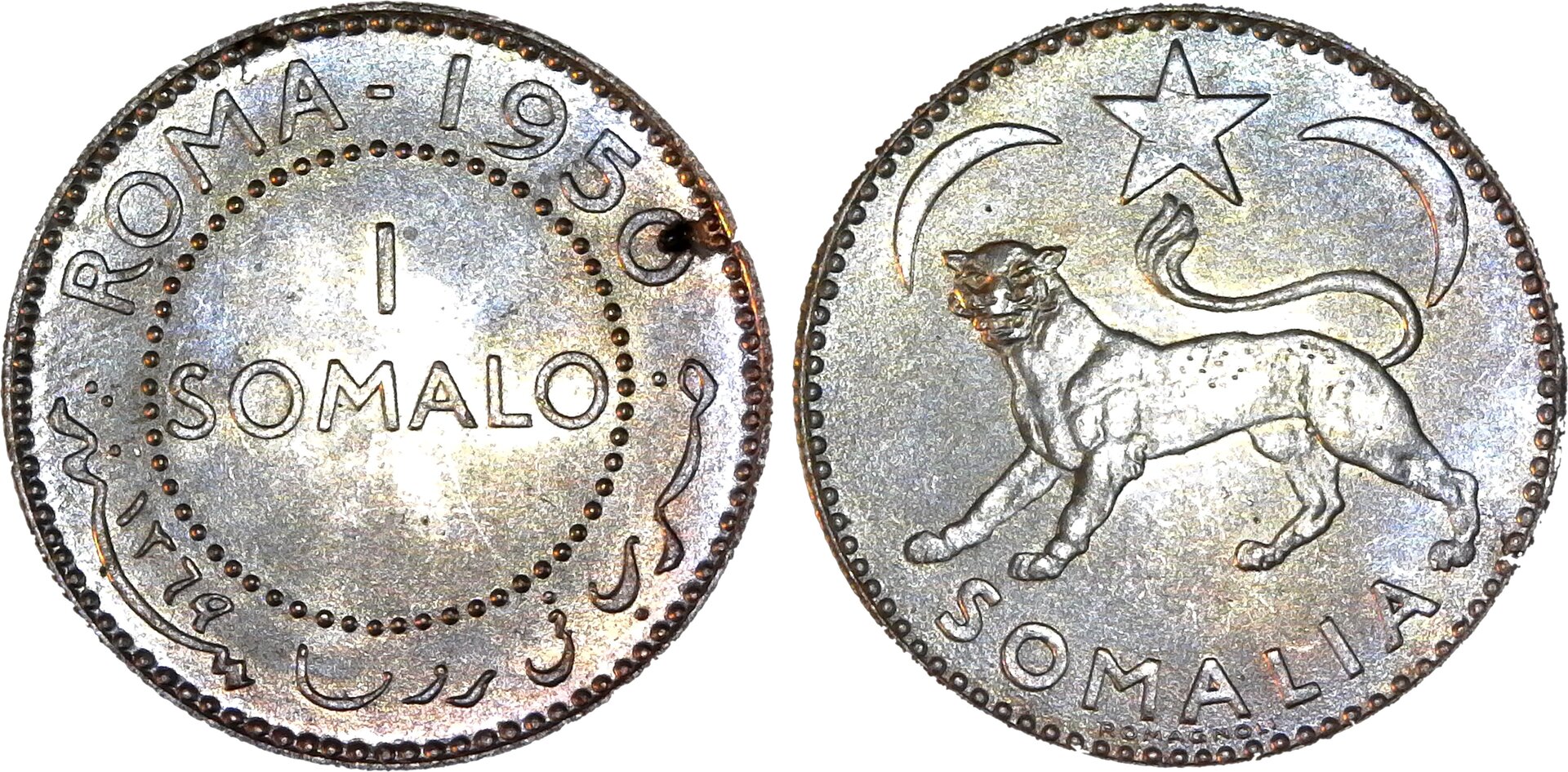 Somalia 1 Somalo 1950 obv-side-cutout.jpg