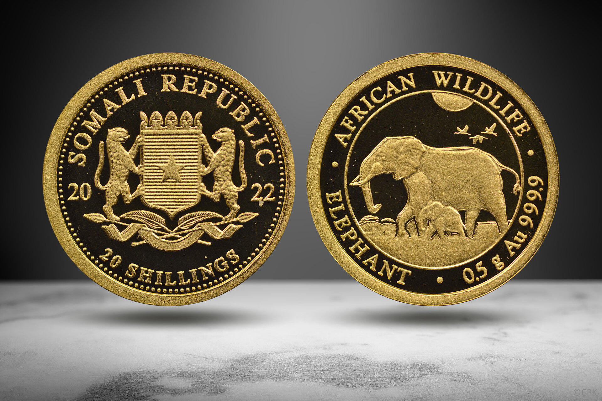 Somalia 20 shillings Elephant.jpg