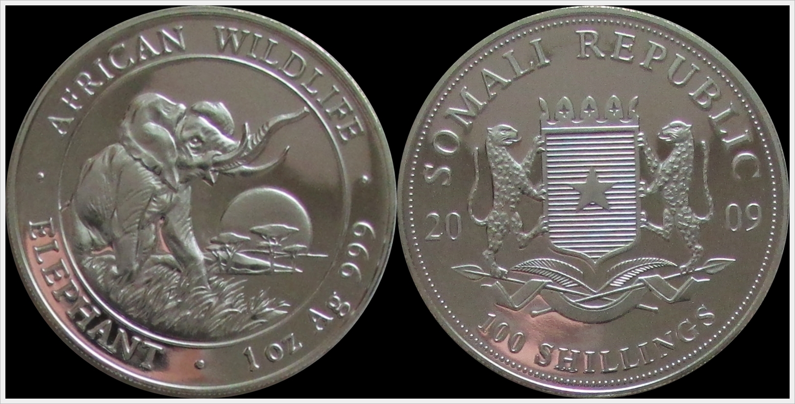 Somalia 2009 00 Shillings Elephant Proof.jpg
