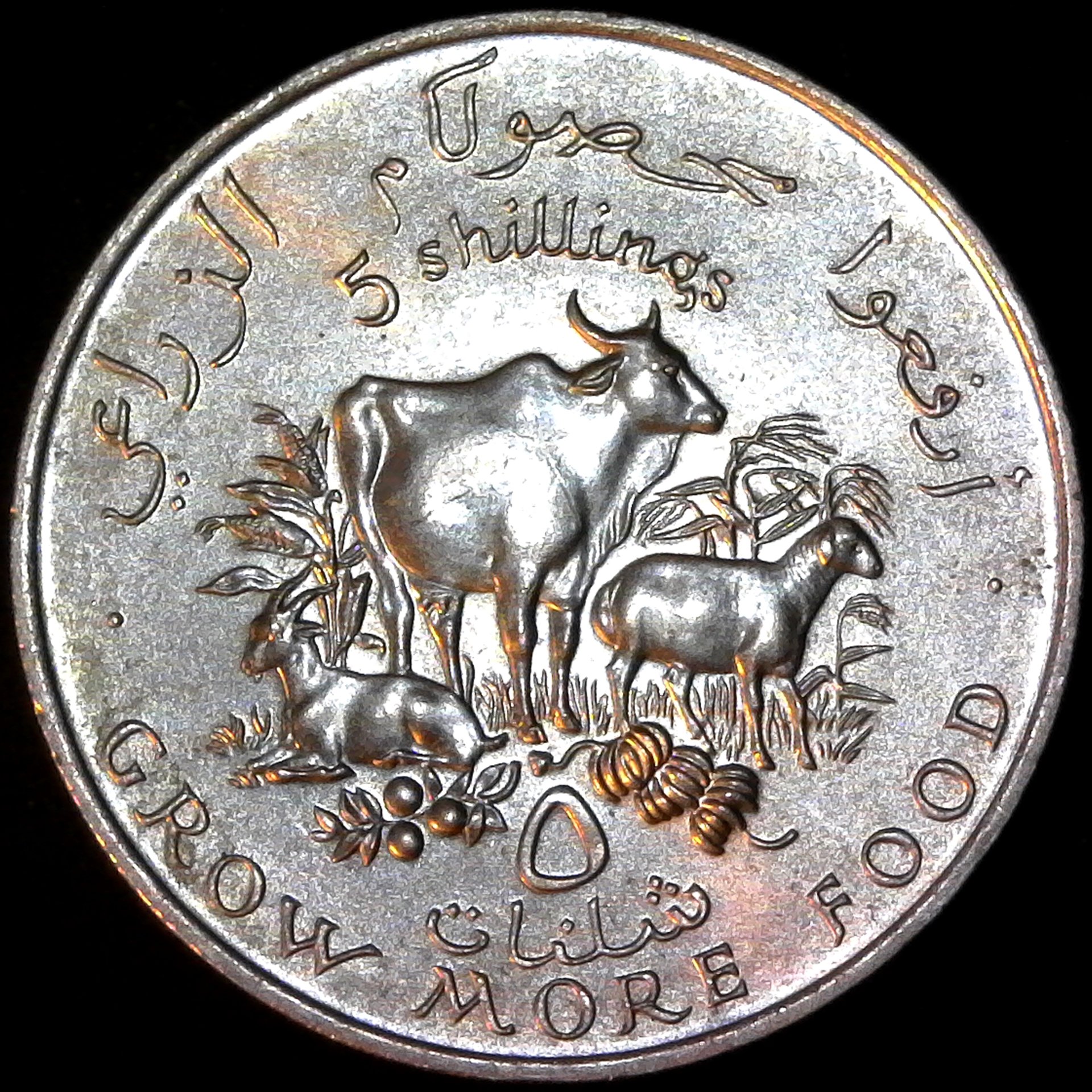 Somalia 5 Shillings 1970obv.jpg