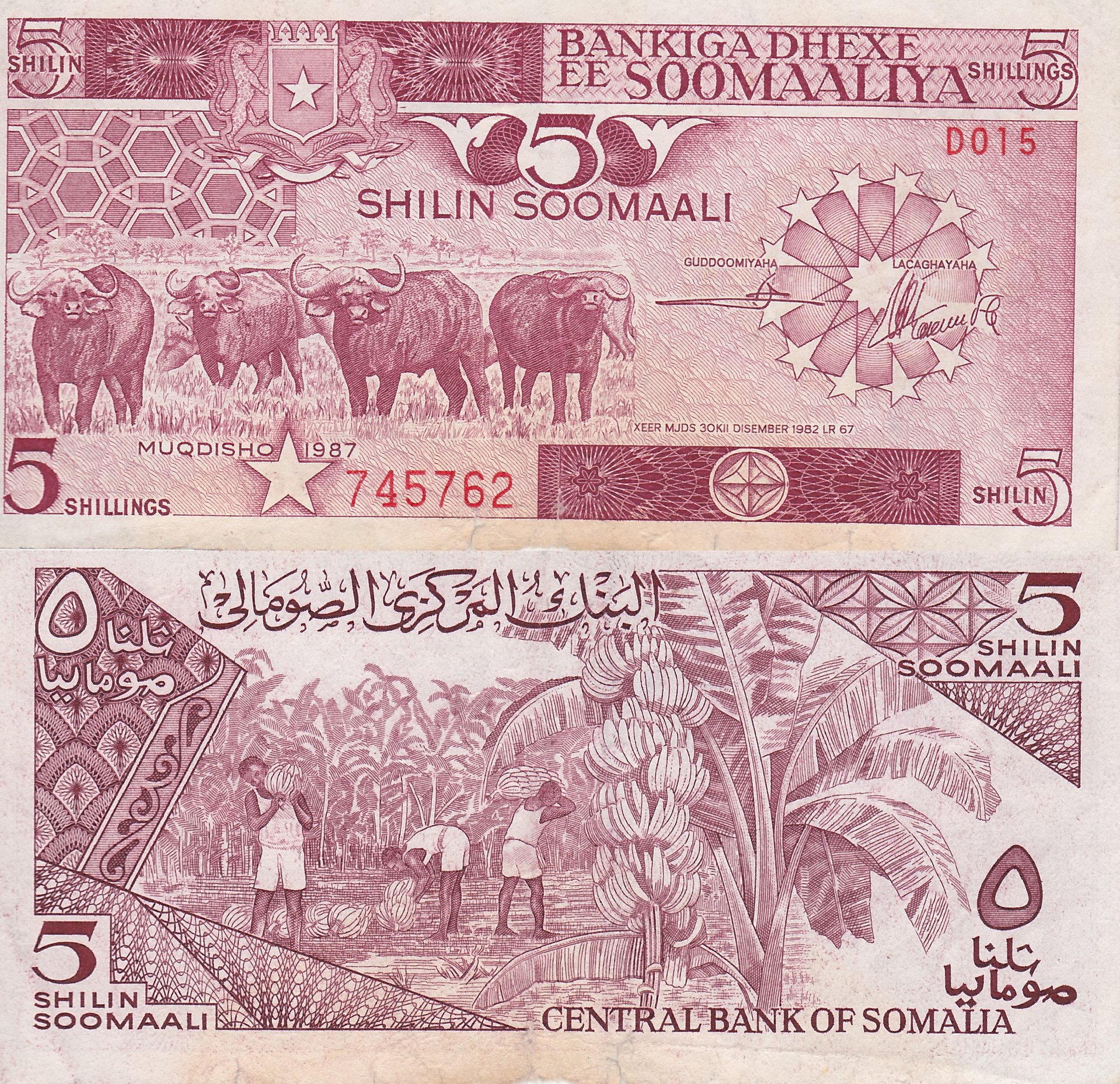 Somalia 5 Shillings.jpg