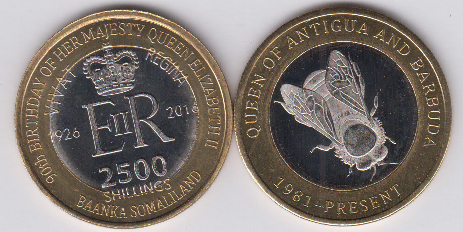 Somaliland bee.jpg