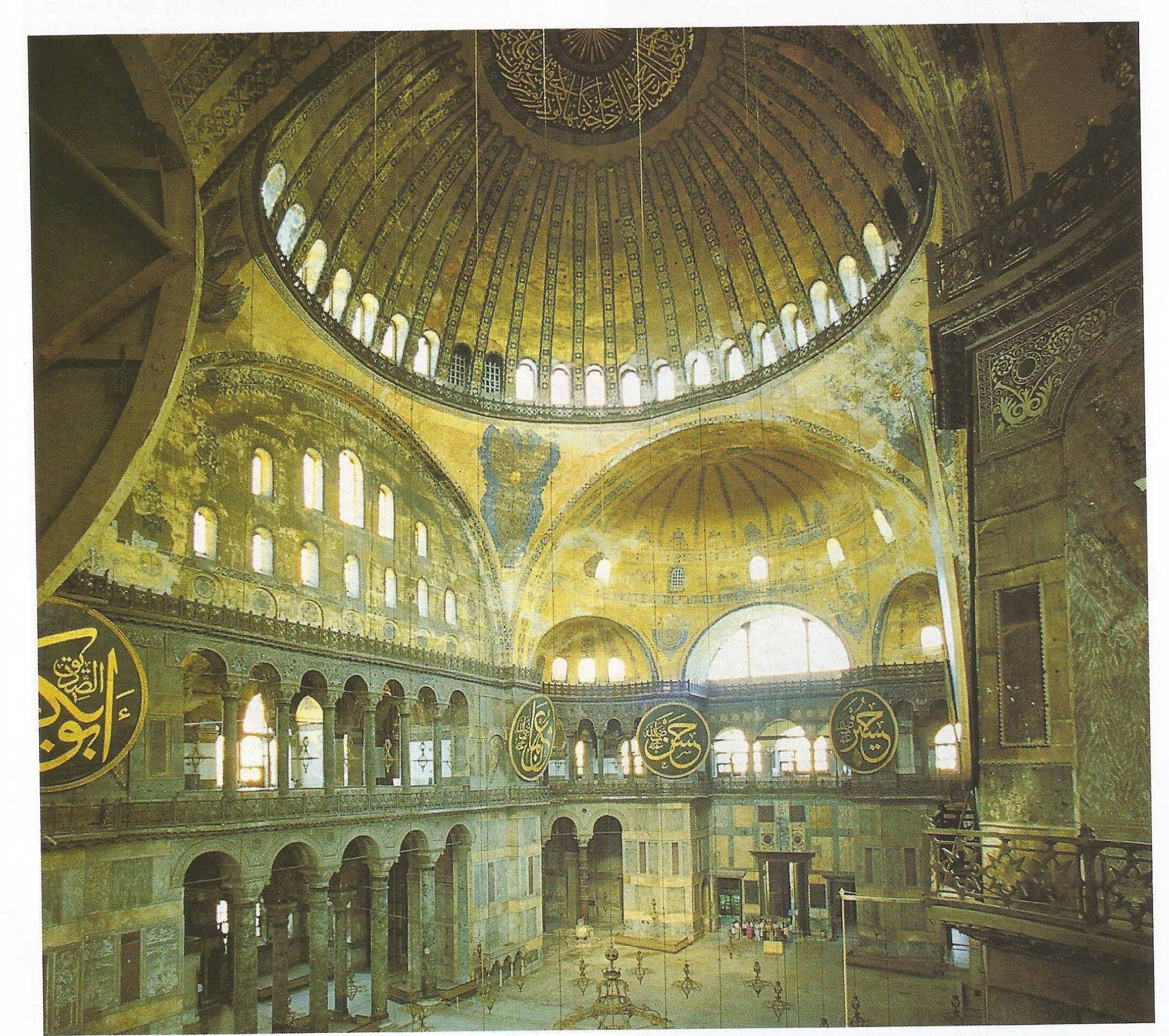 sophia 001.jpg
