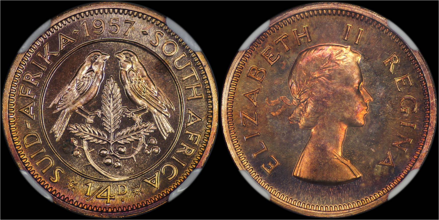 South Africa 1957 1_4 Penny proof.jpg