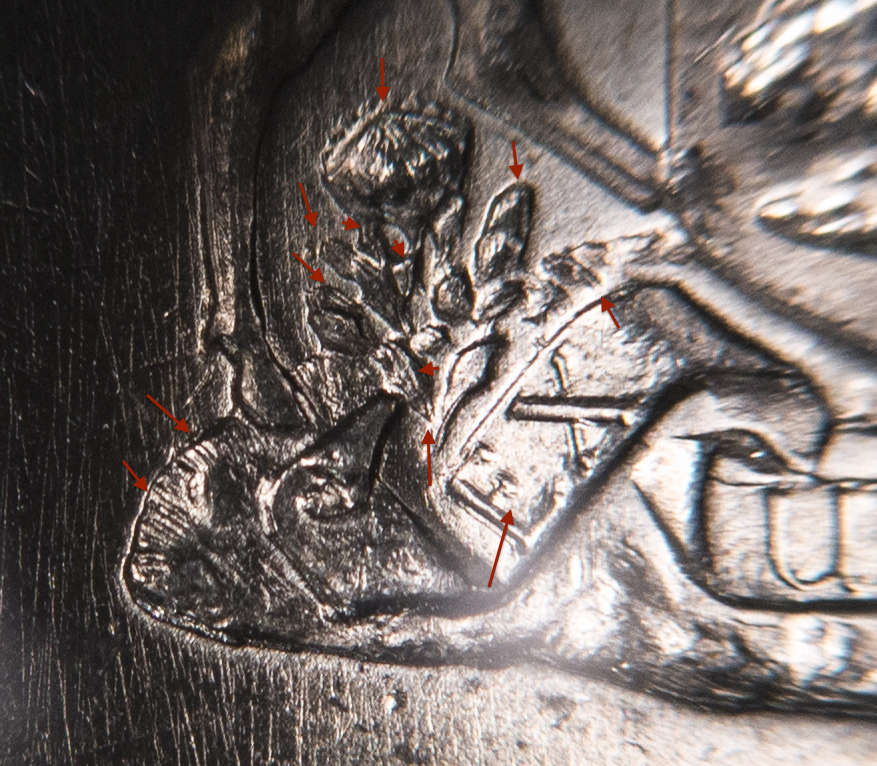 South Africa - 1969 1 Rand DDR - Lower Left Plant.jpg