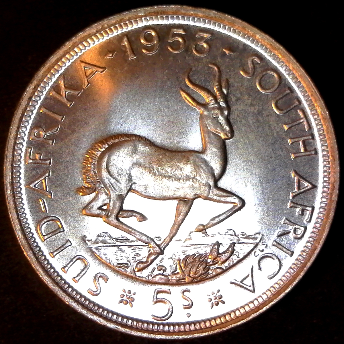 South Africa 5 Shillings 1953 obv.jpg