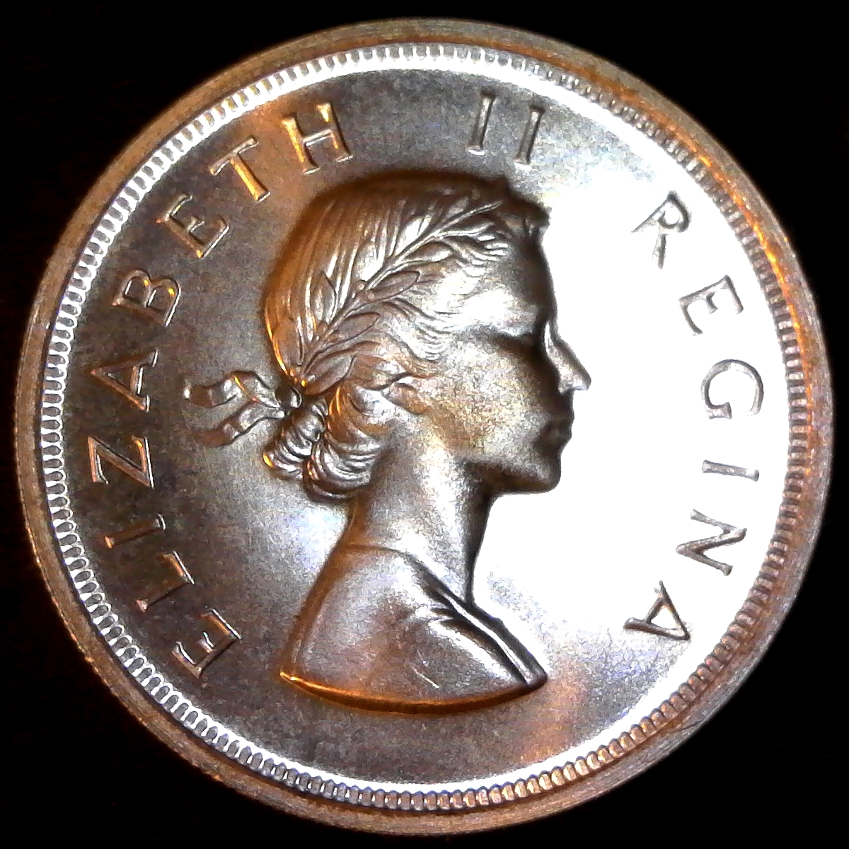 South Africa 5 Shillings 1953 rev.jpg