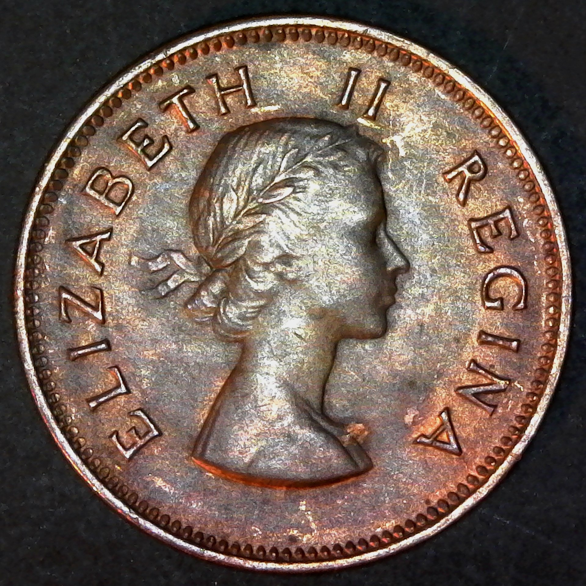 South Africa Half Penny 1955 reverse.jpg
