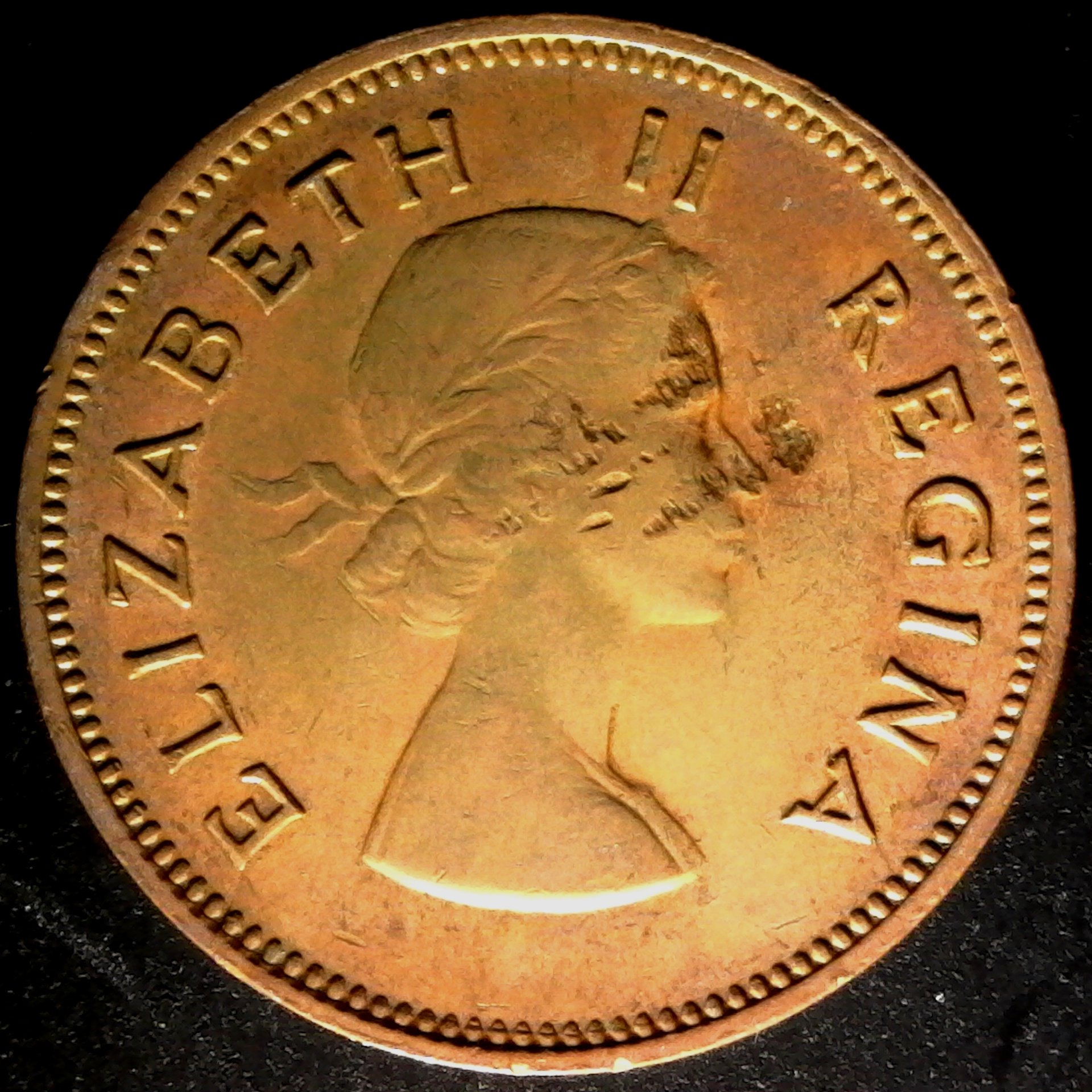 South Africa Half Penny 1957 rev.jpg