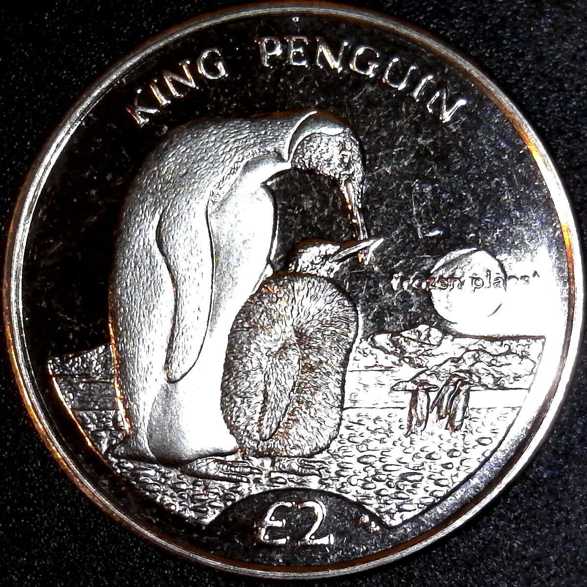 South Georgia and the South Sandwich Islands obverse.jpg