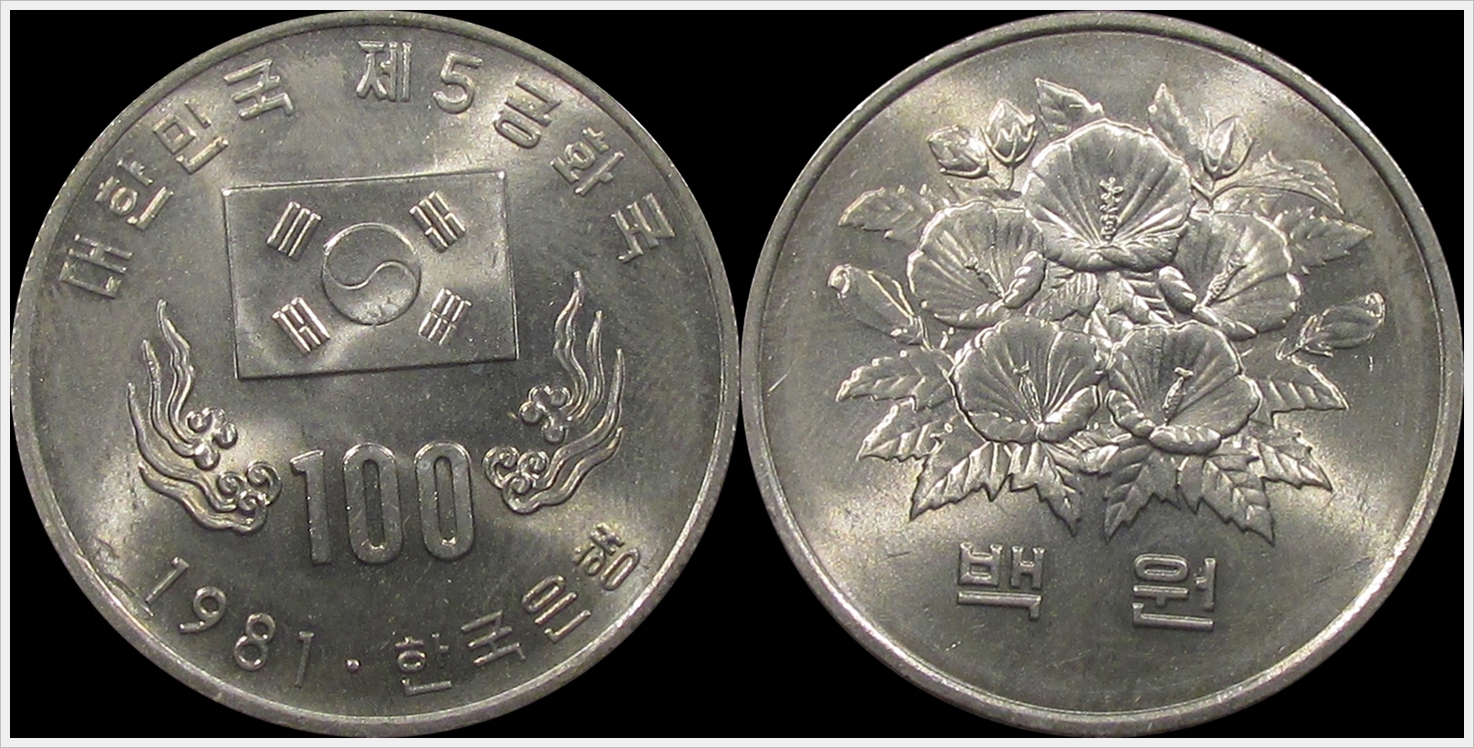 South Korea 1981 100 Won B km 24.jpg