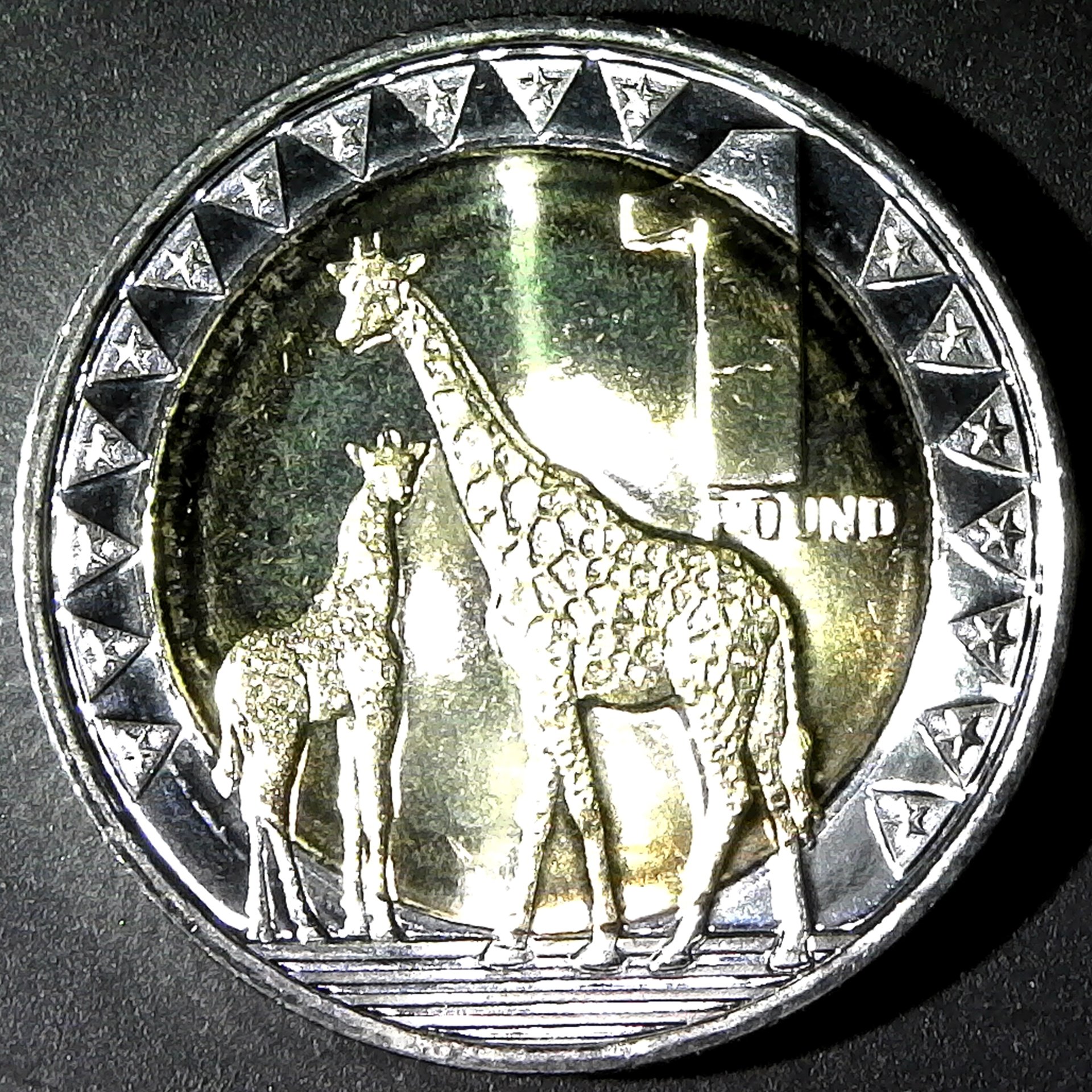 South Sudan 1 Pound 2015 rev.jpg