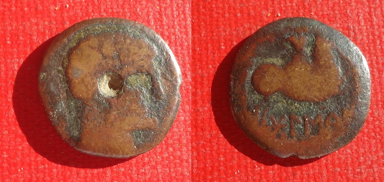 Spain Boskean - Head & Horse AE  Oct 2019 lot (0).jpg