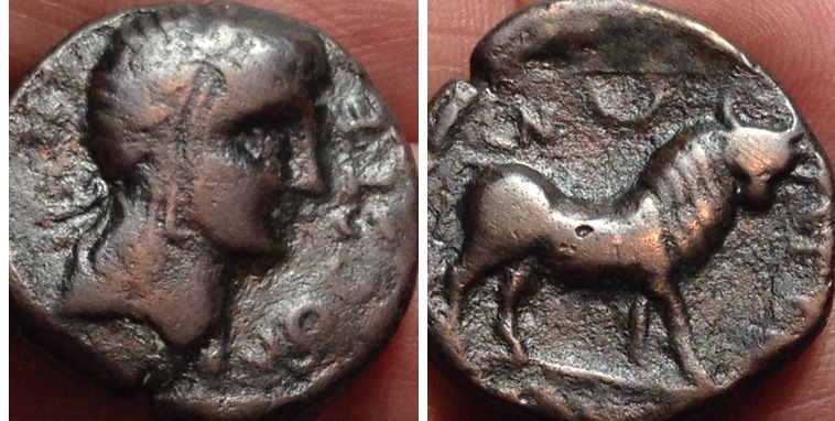 Spain, Castulo Apollo Bull.jpg