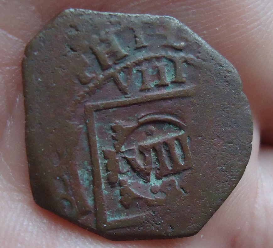 Spanish Cob (1).JPG