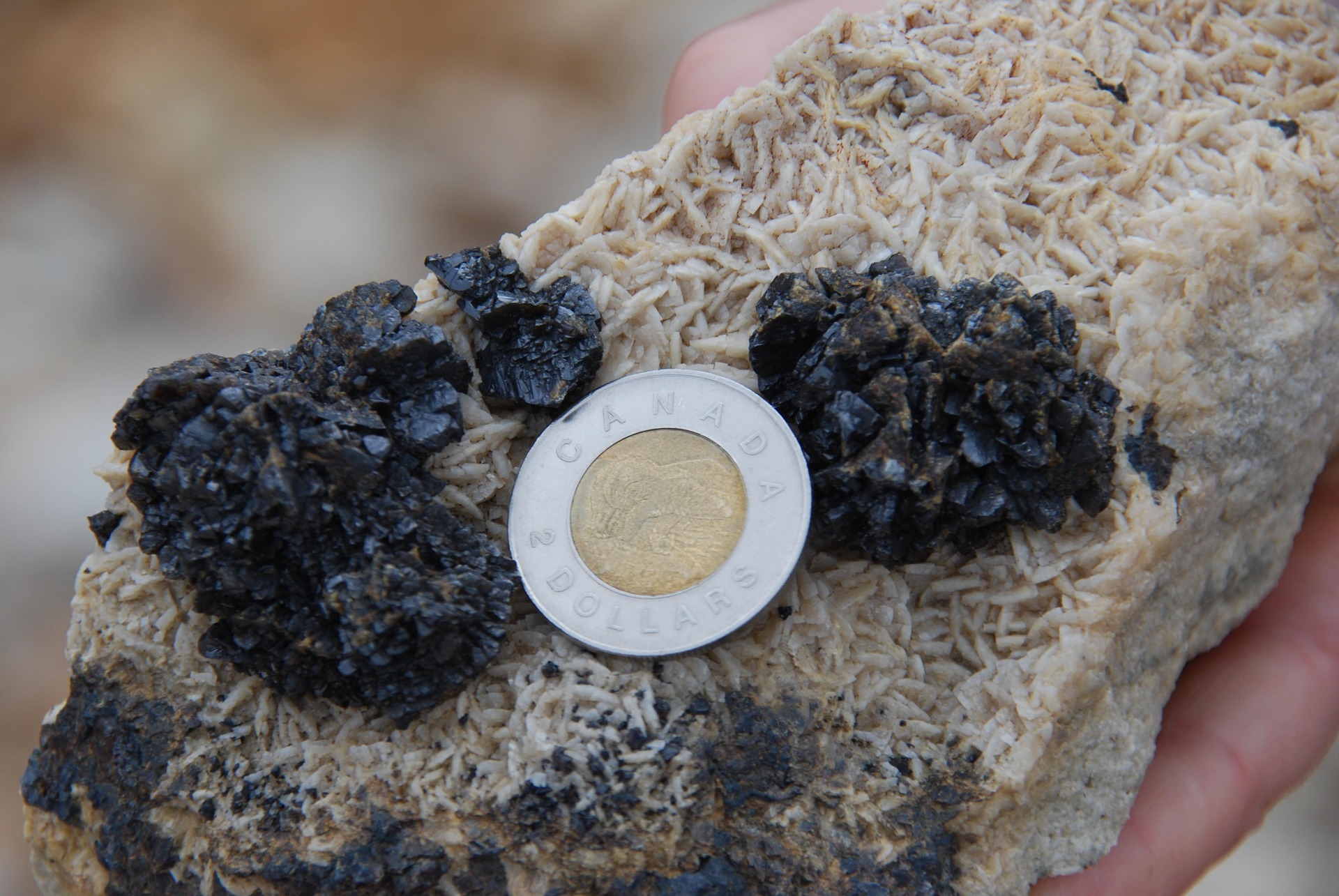 Sphalerite_on_saddle_dolomite_1.jpg