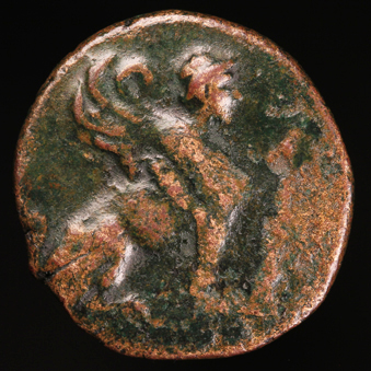 SphinxIoniaAe339O.jpg