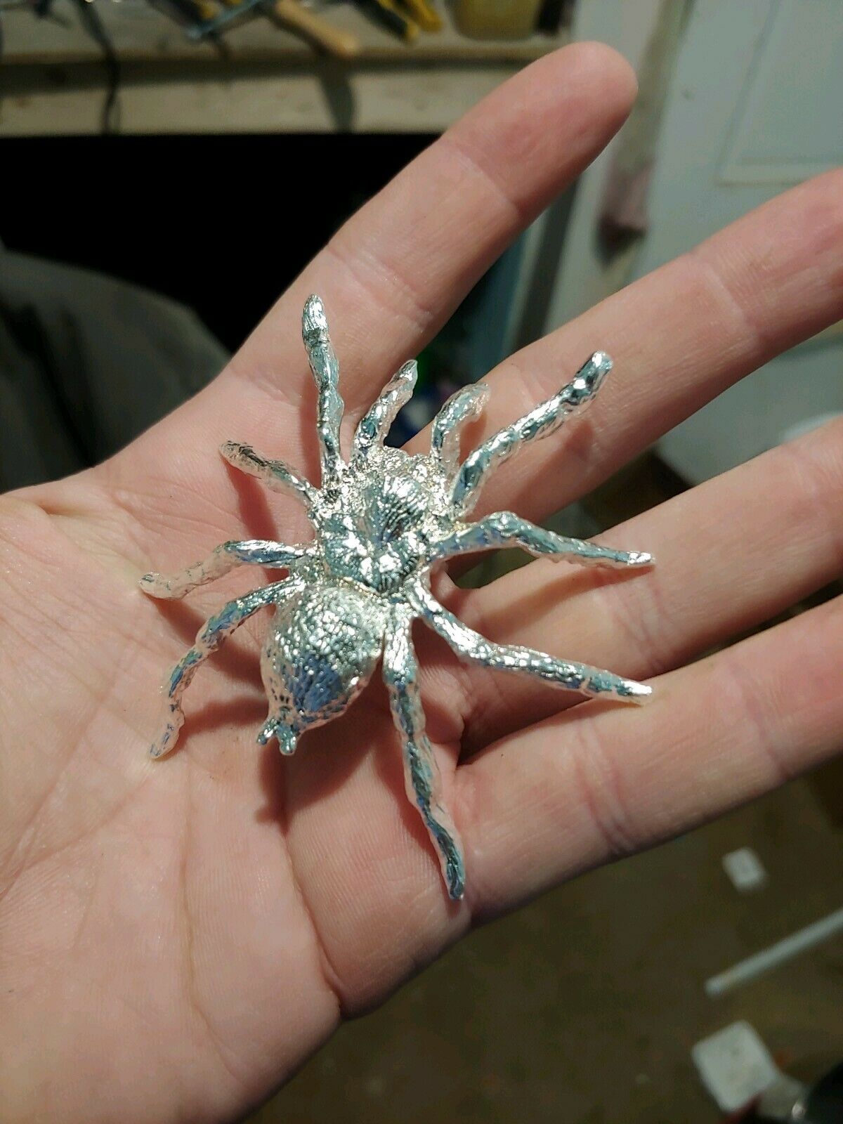 Spider 1.jpg