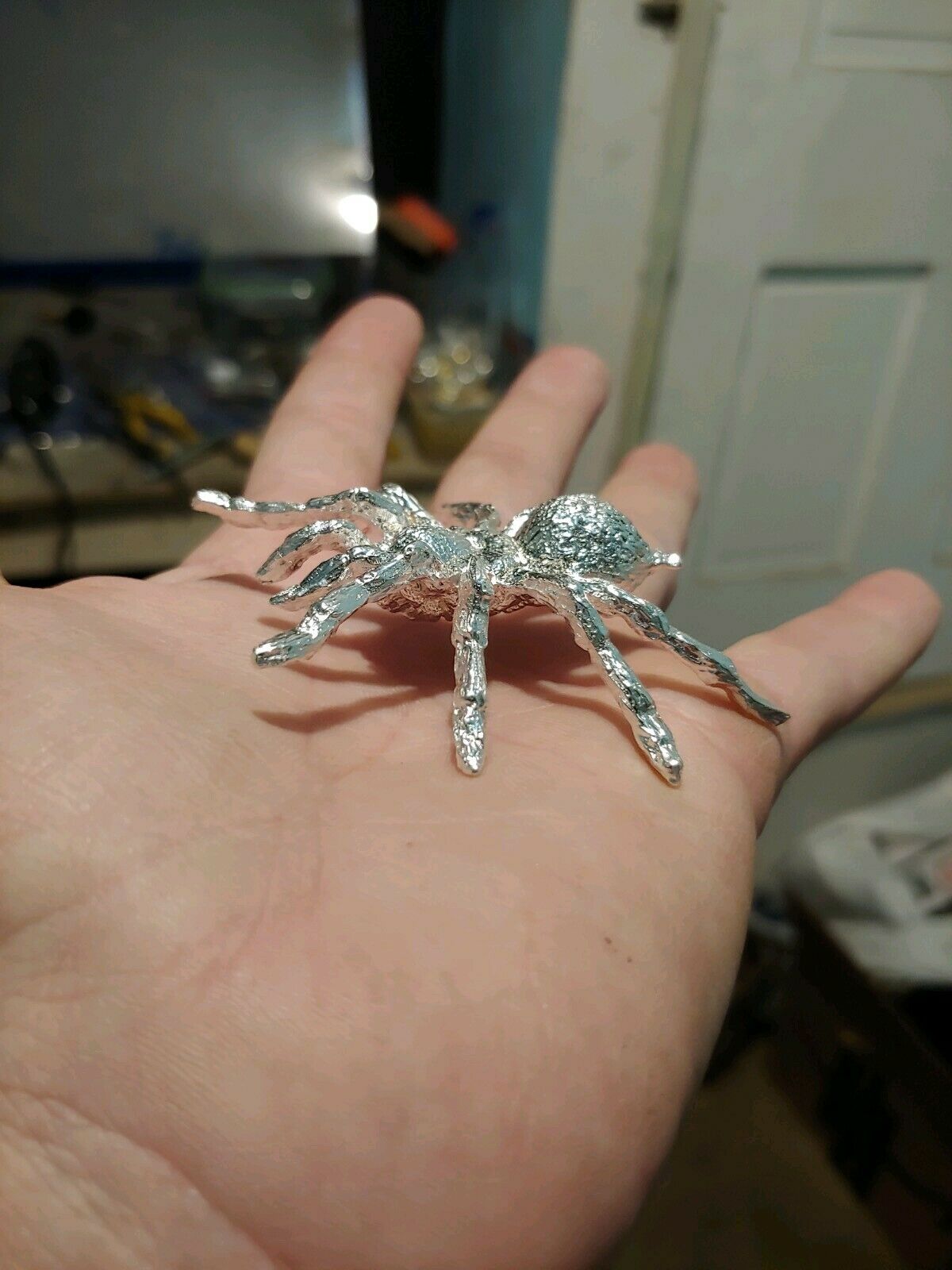 spider 2.jpg