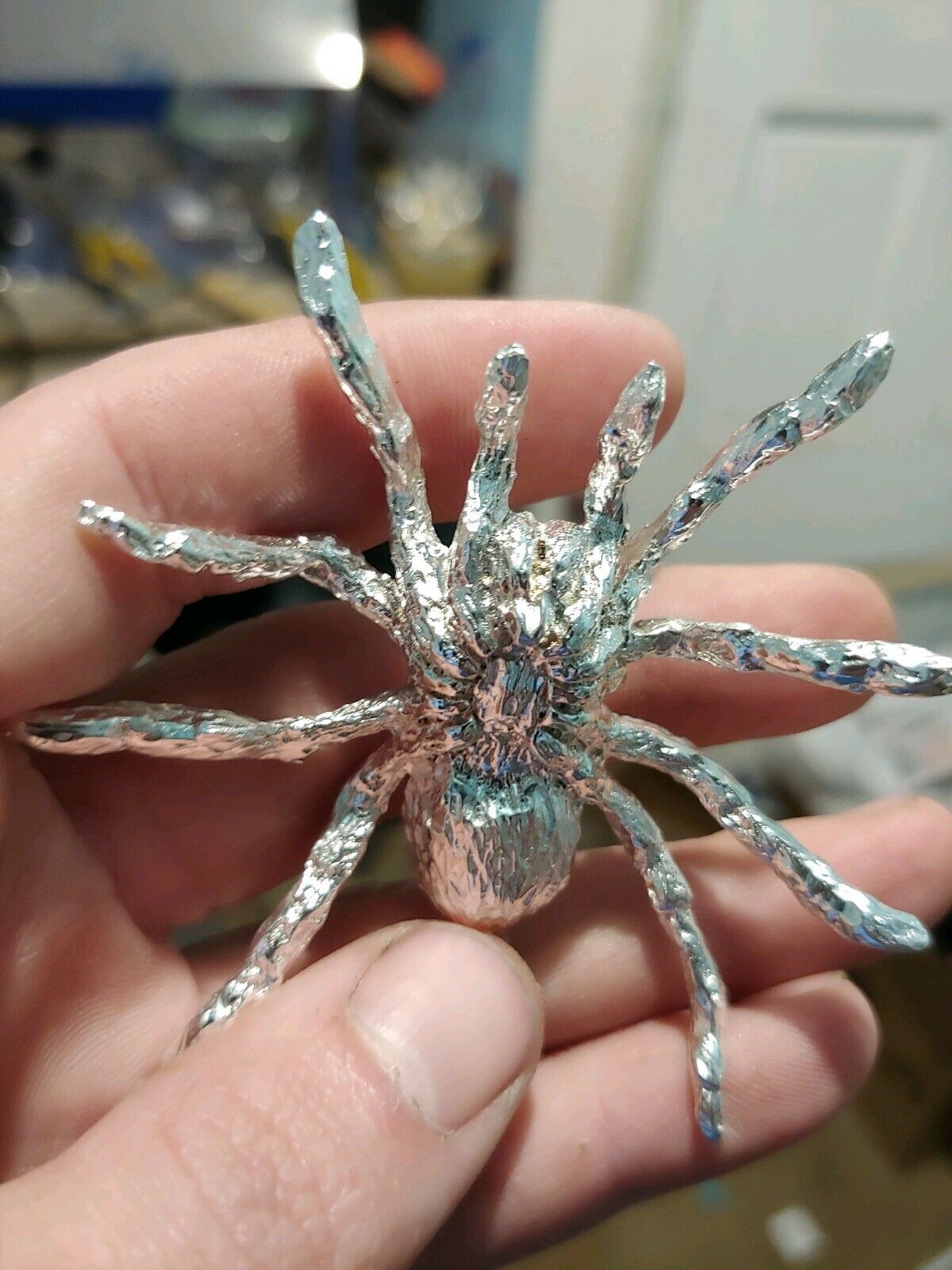 spider 3.jpg