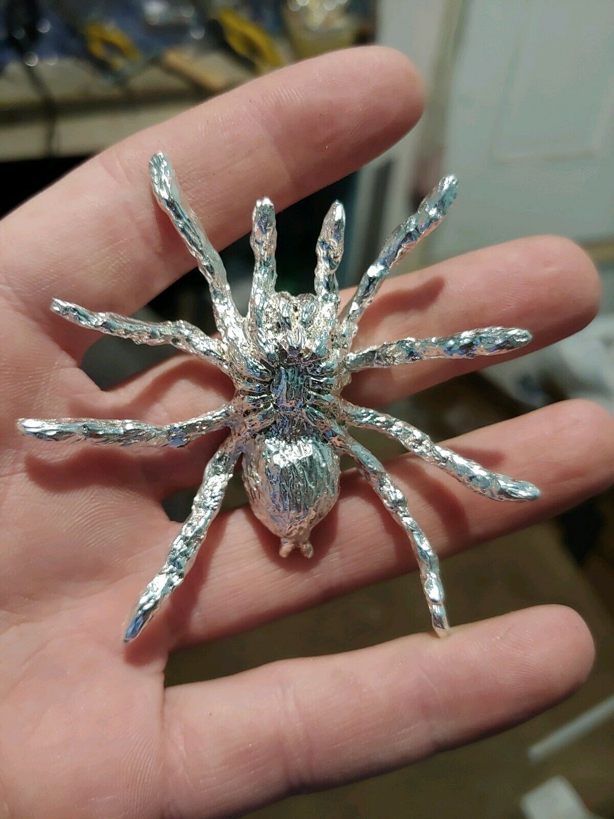 spider 4.jpg