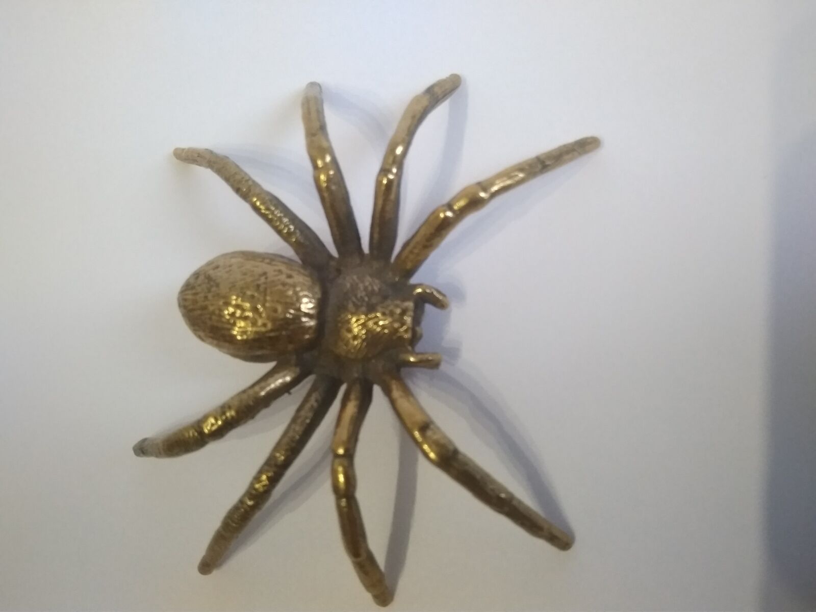 spider3.jpg