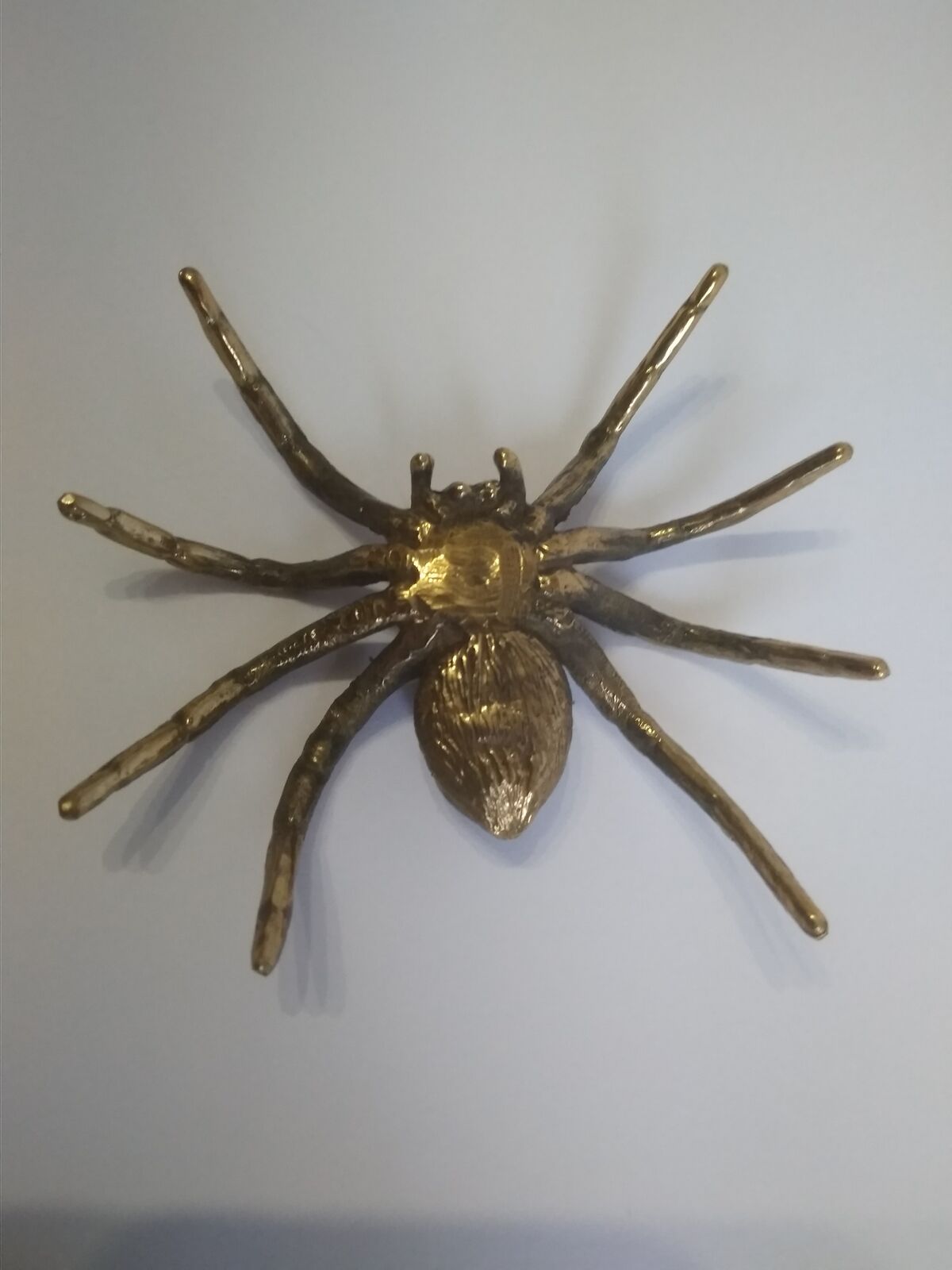 spider4.jpg
