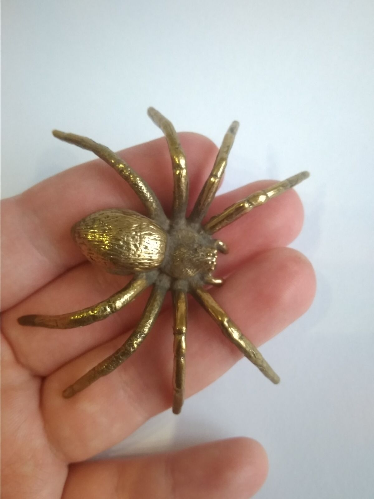 spider5.jpg