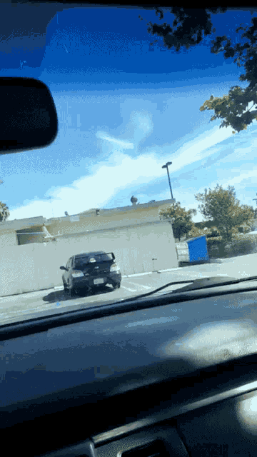 Spinning Pigeon.gif