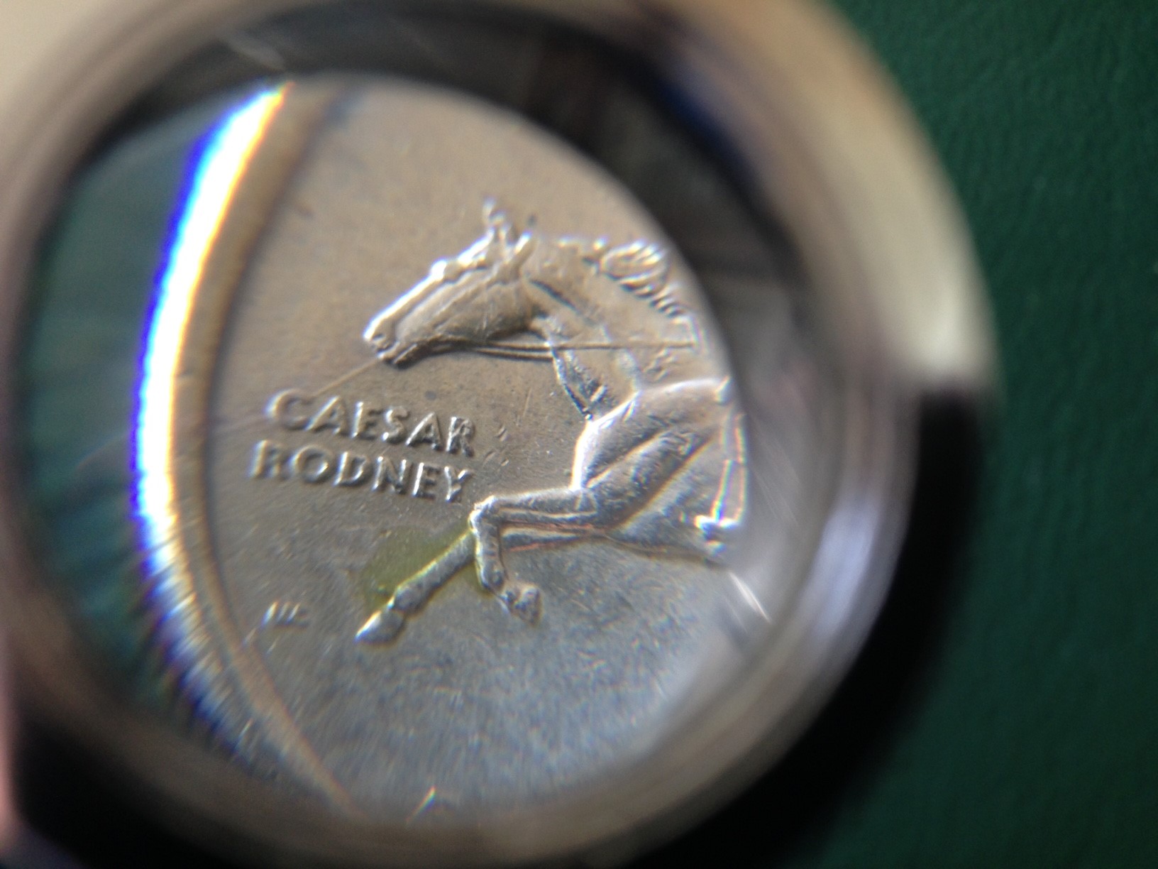 Spitting Horse 4.jpg