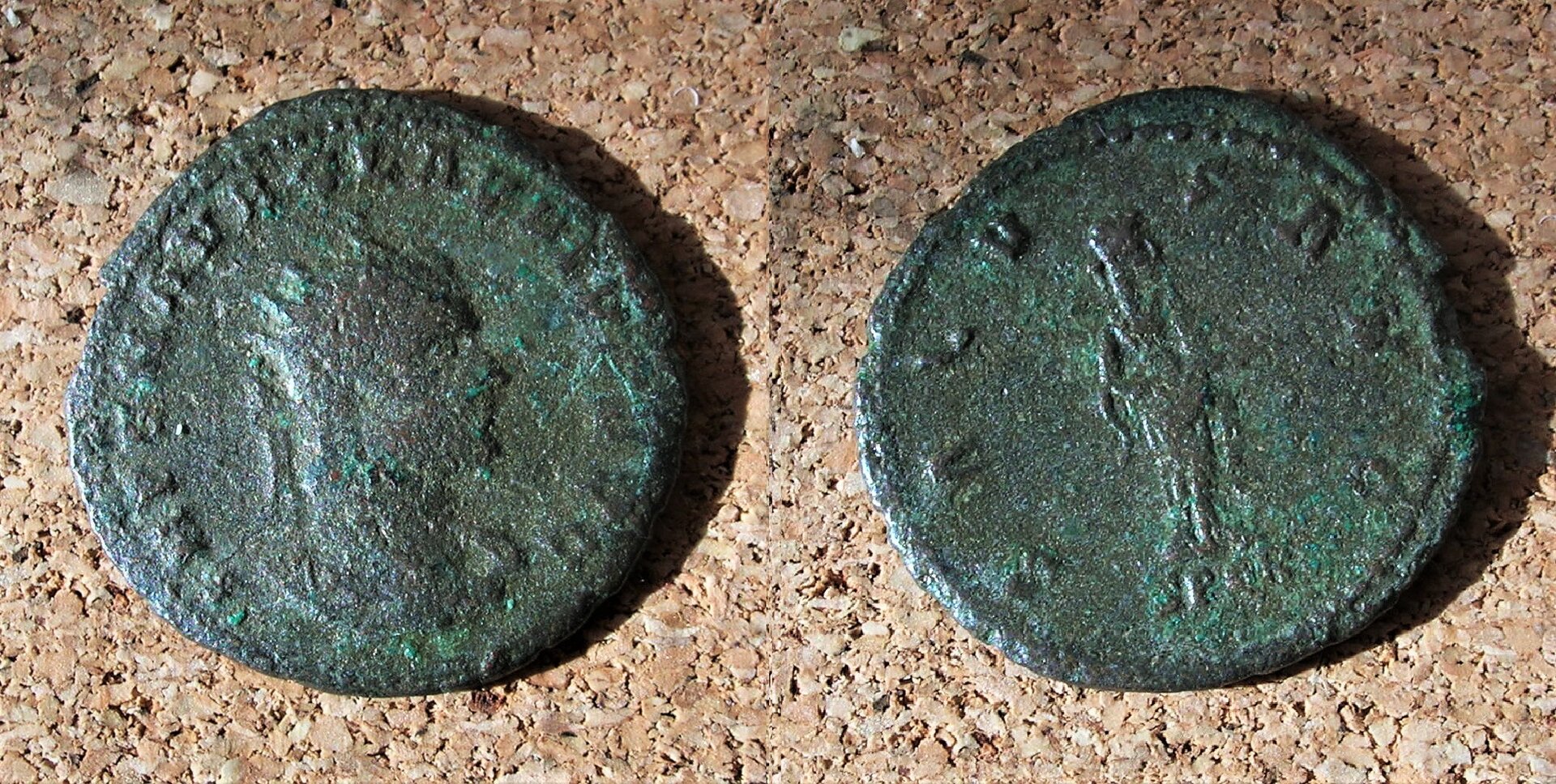 spqr salus.jpg
