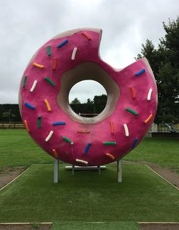 Springfield, NZ.jpg