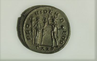 squared, reverse, Aurelian napa.jpg