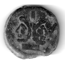 SR722001 Coin Talk.jpg