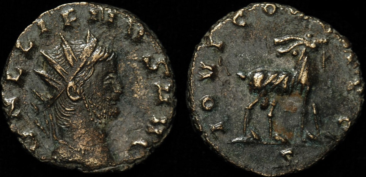 sRIC207var3.jpg