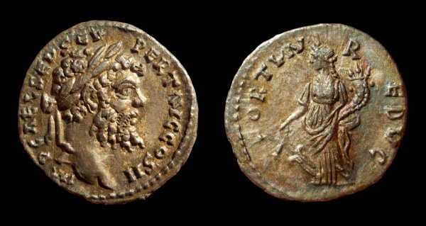 sseverus.jpg