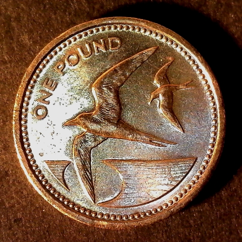 St Helena One Pound 1984 obverse less 10 40pct.jpg