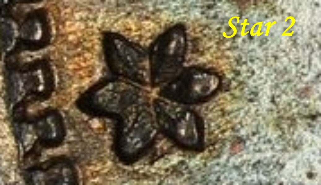 Star 2.jpg