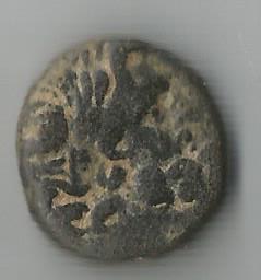 StarBetha O.jpg