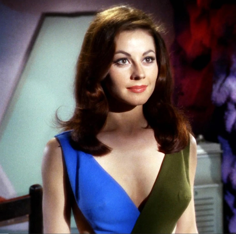 startrek.jpg