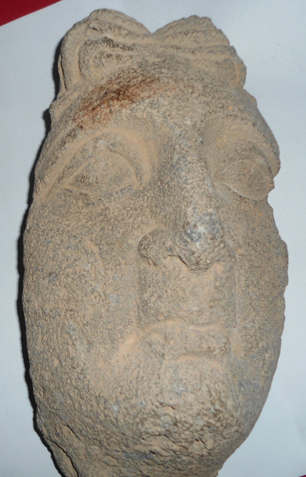 StatApol.JPG