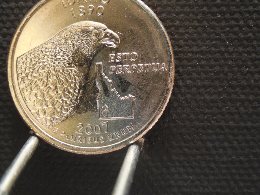 State Die Varieties 024.JPG