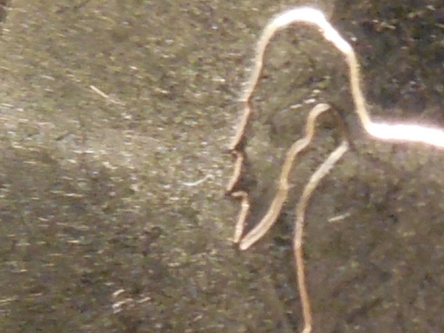 State Die Varieties 032.JPG