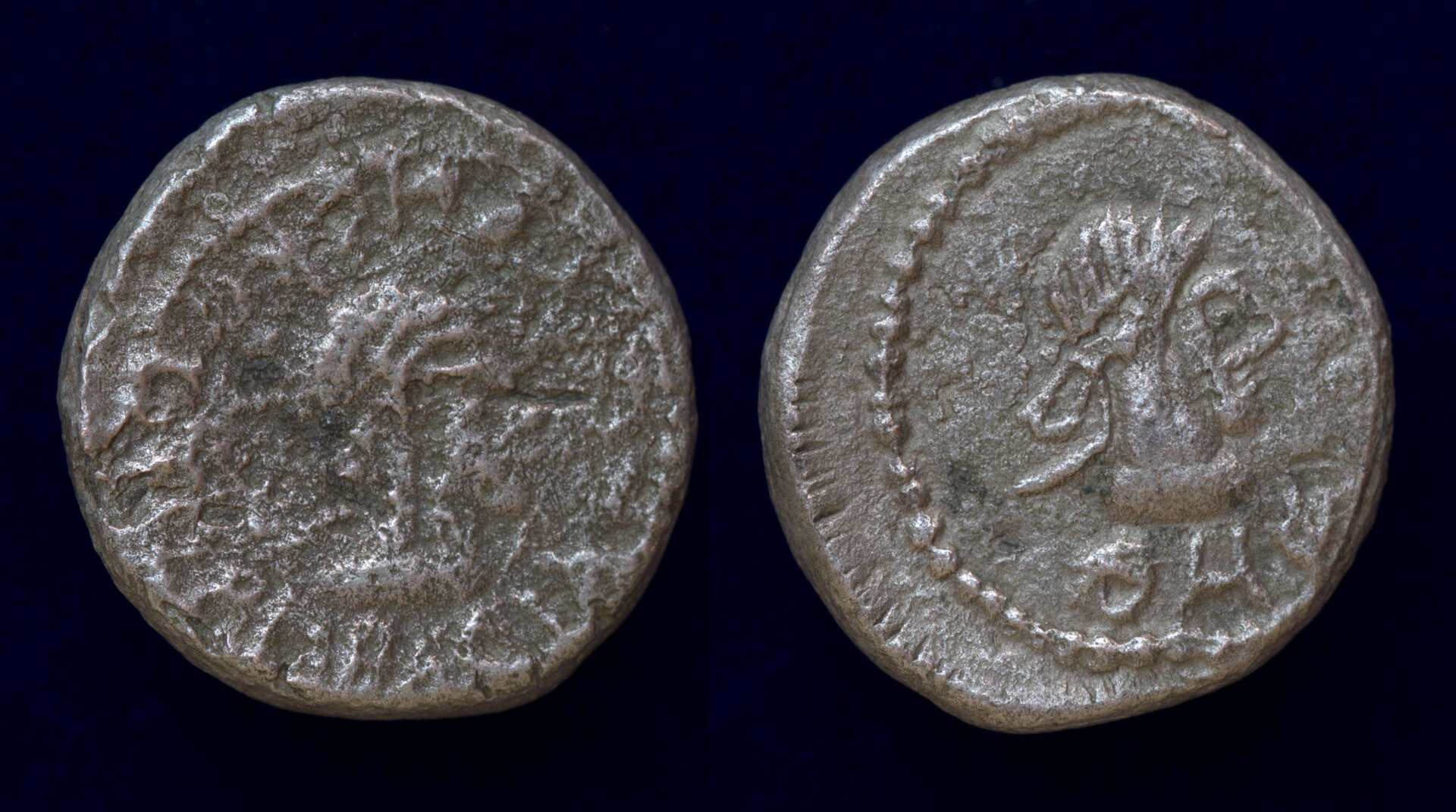 Stater Bosporus Treb Gallus.jpg